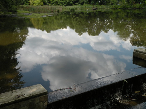 Foote's Pond Wood, Morristown, NJ, Aug. 26, 2011