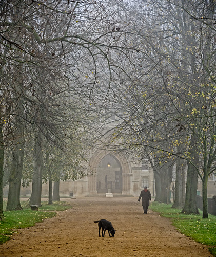 Christ Church Meadow, Oxford | Scott D. Haddow | Flickr