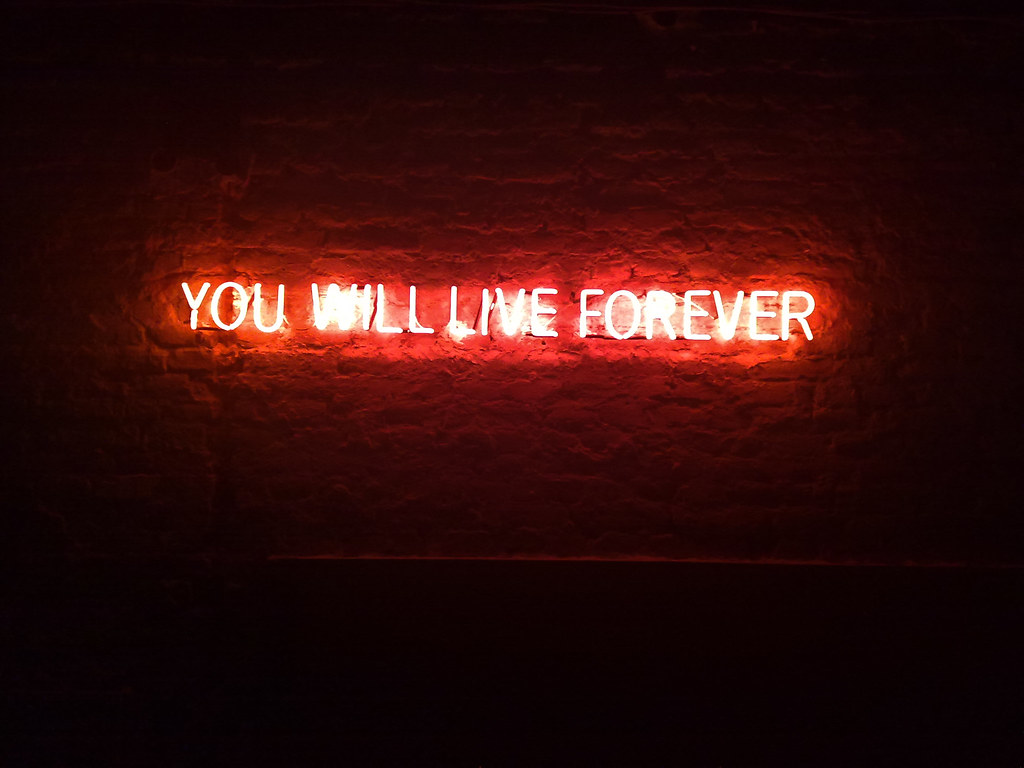 Neon lights  you will live forever  Djordje Radovanovic 