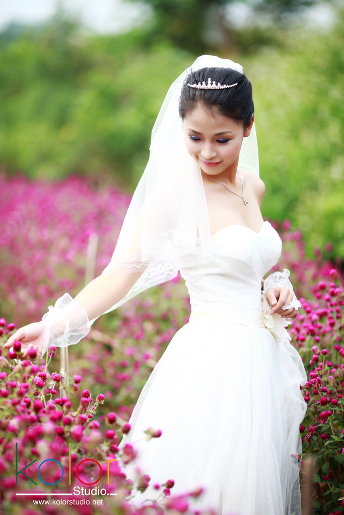 Chau wedding | Press 