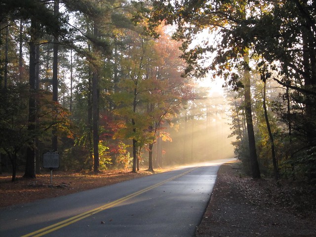 Fall is a favorite camping season at Virginia State Parks, it's easy to see why