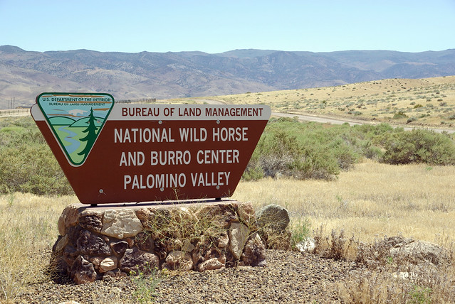PVC: National Wild Horse & Burro Center at Palomino Valley