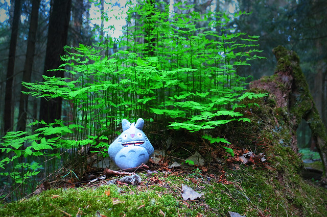 Day #131: totoro walks in the woods