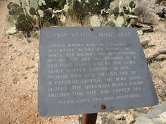 Saguaro National Park East, Loma Verde Loop