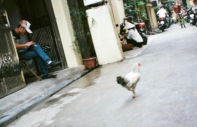 {Hanoi- on the street 5}
