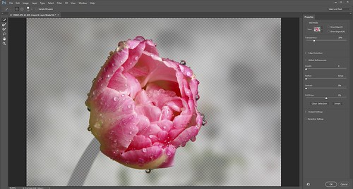 Adobe Photoshop CC - Select and Mask workspace