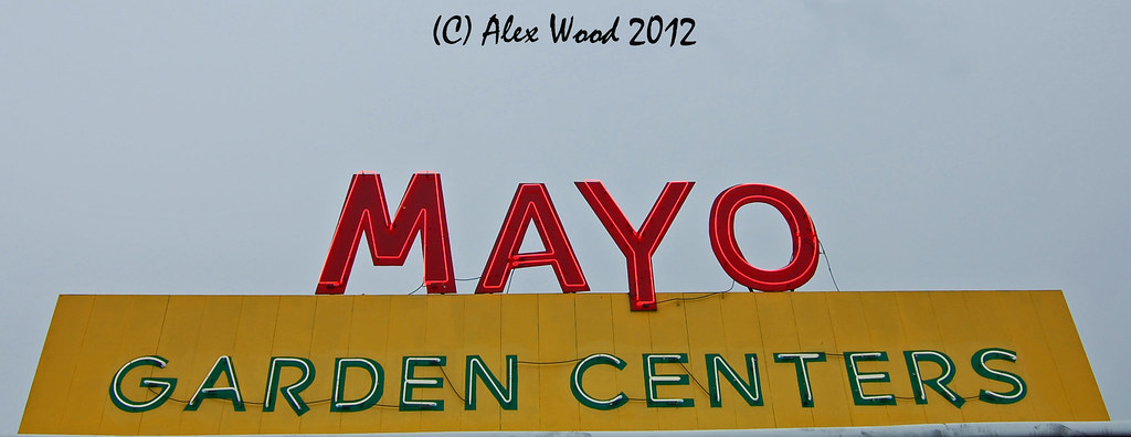 Hey Yo Its Mayo April 26th 2012 The Neon Lights Of Knoxv Flickr