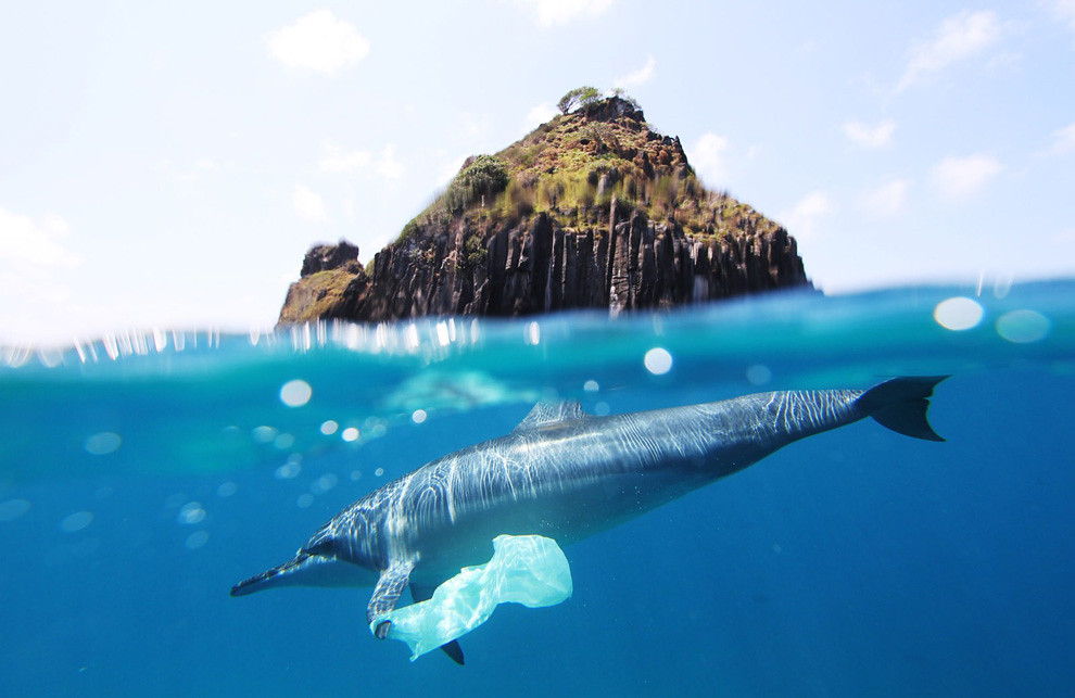 Image result for ocean plastic