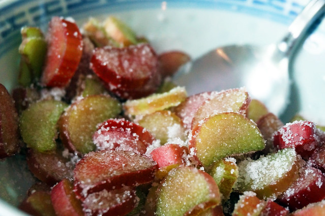 Closeup on red and green slices of rhubarb, sprinkled with sugar, in a semi-translucent white and blue ceramic bowl