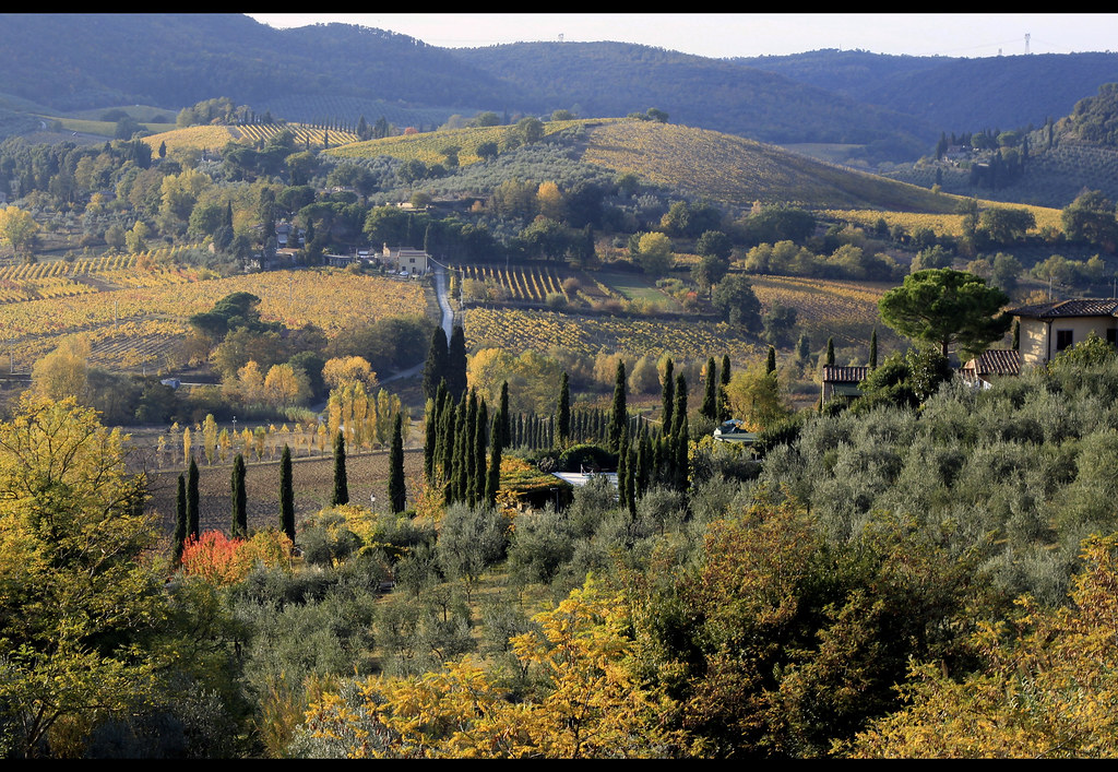Taste The Best White Wine In City Of San Gimignano