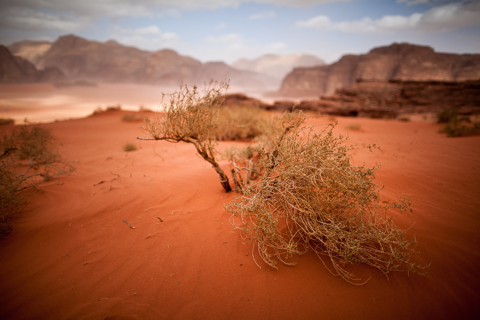 Wadi Rum Desert And Its Red Color
