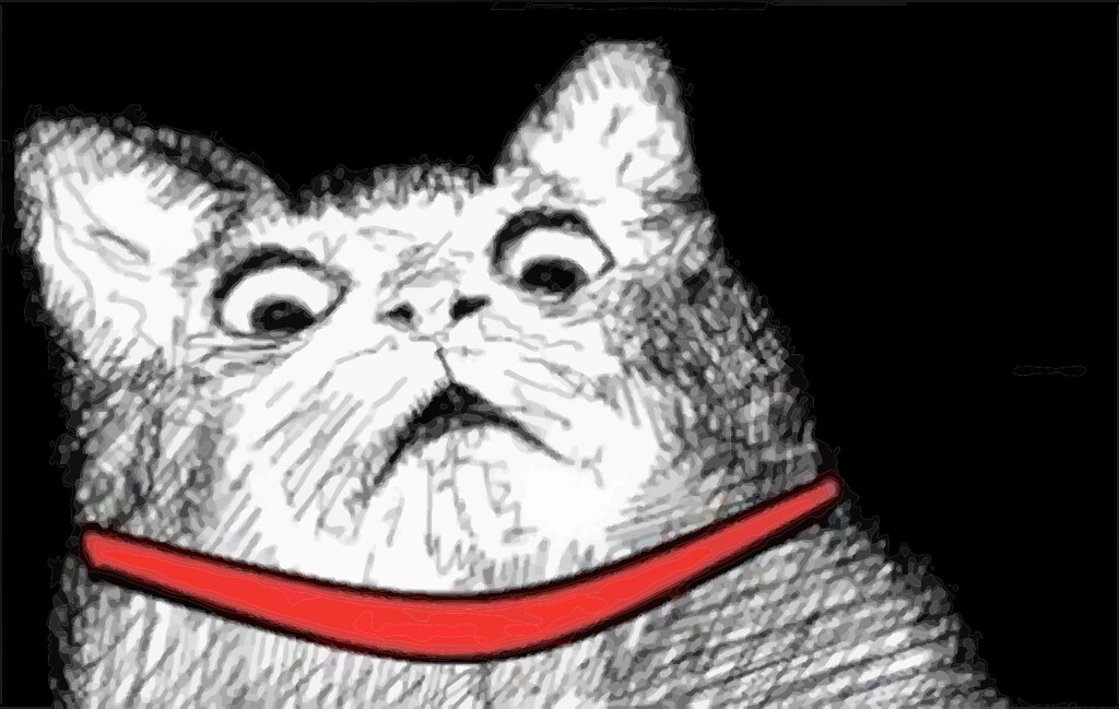 meme shocked cat. screengrab video-video amboxing via Youtube. 