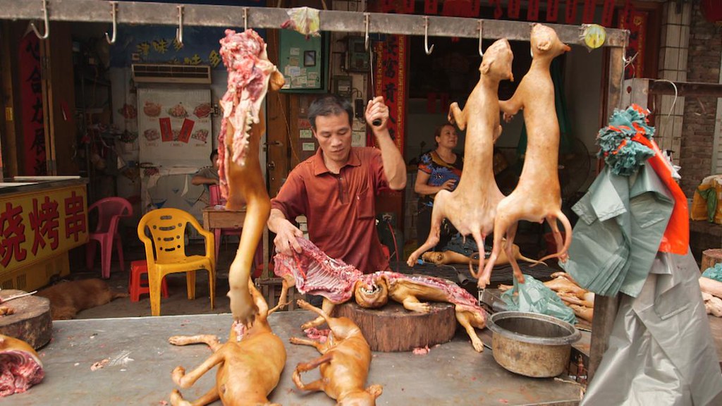 YuLin dog meat festival