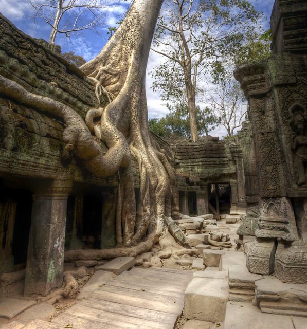 jungle temple cambodia