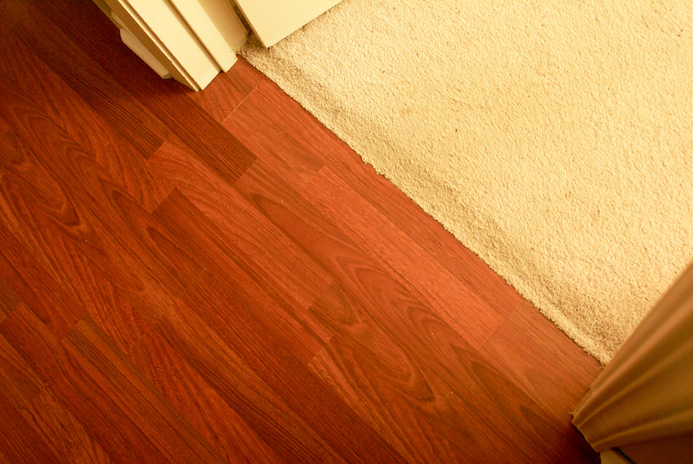 Carpet To Hardwood Threshold Who Needs A Transition Piece Flickr