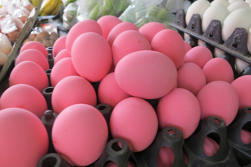 Flamingo eggs | danpaulsmith | Flickr