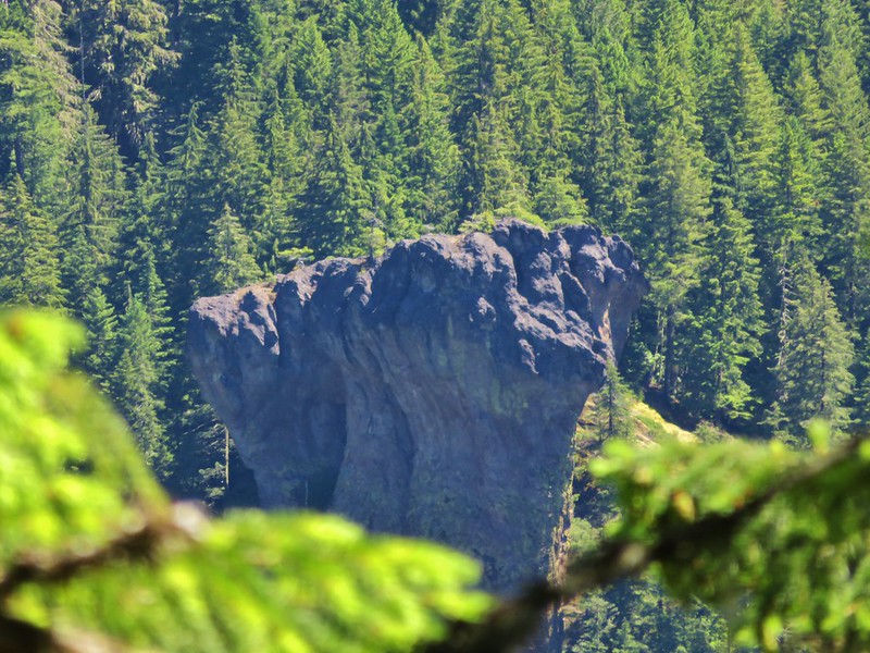 Rock pinnacle in the Menagerie Wilderness