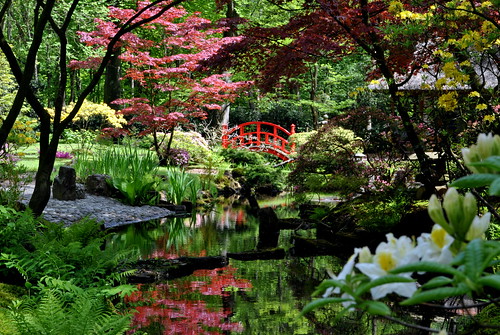 Clingendael Park - Japanese Garden, Den Haag, Holland