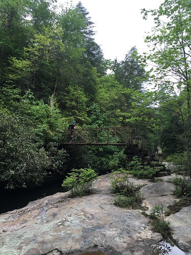 Bridge near Cane Creek or Pounder Branch