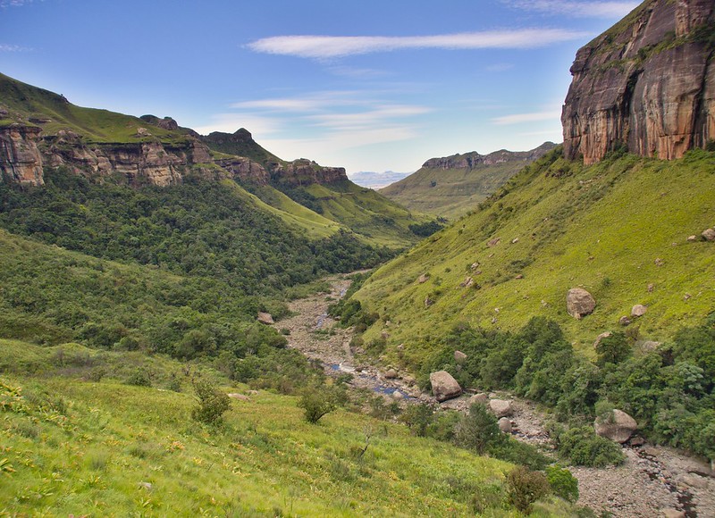 Por el norte de SUDÁFRICA. Montañas, playas, fauna y sus gentes - Blogs de Sudáfrica - Drakensberg: Royal Natal NP. La belleza del Tugela Gorge Trail (15)