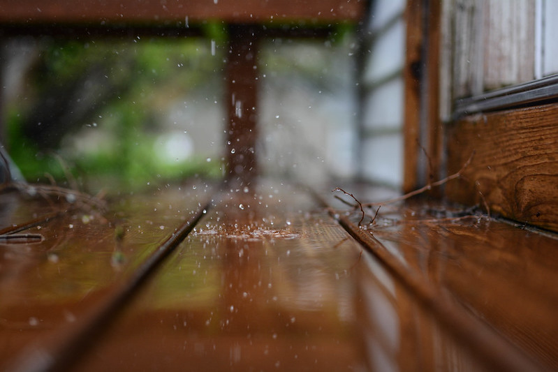 Raindrops: spring rain