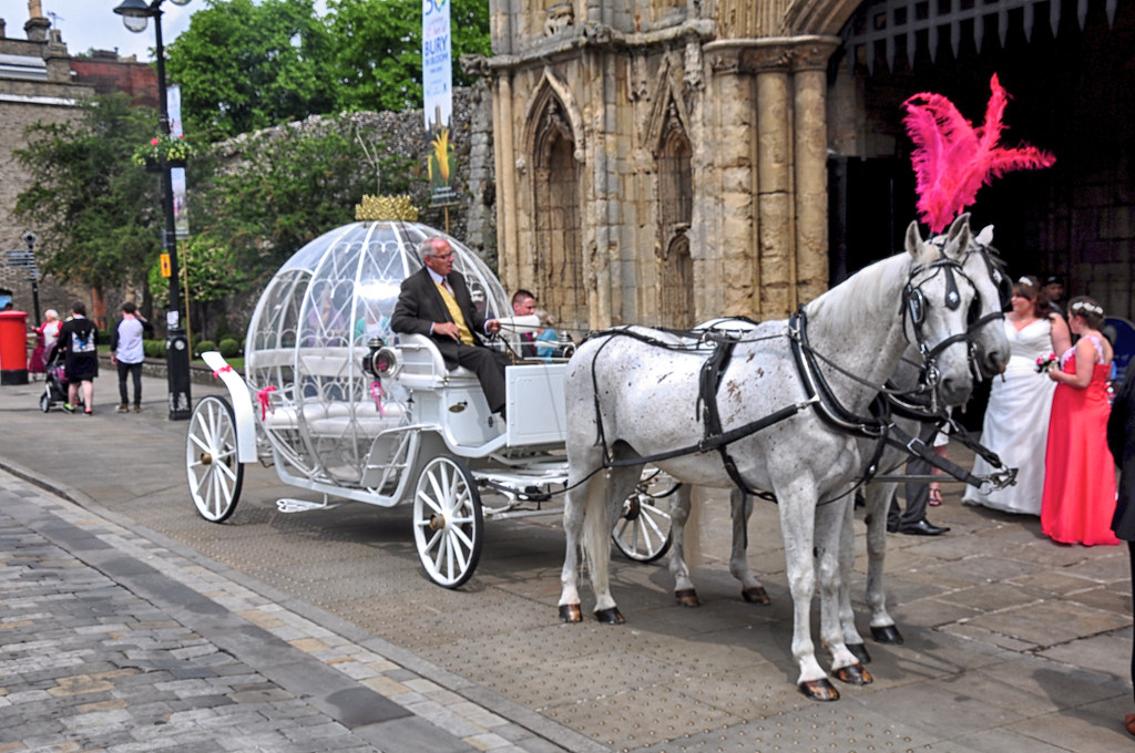 Fantasy Horse Drawn Wedding Carriage