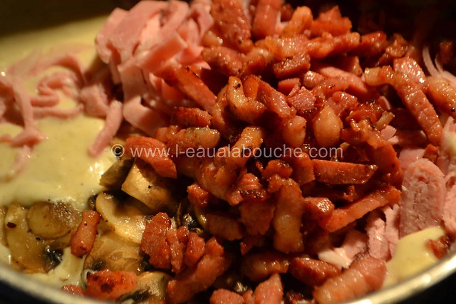 Délices au Fromage Jambon, Lard & Champignons © Ana Luthi Tous droits réservés 11