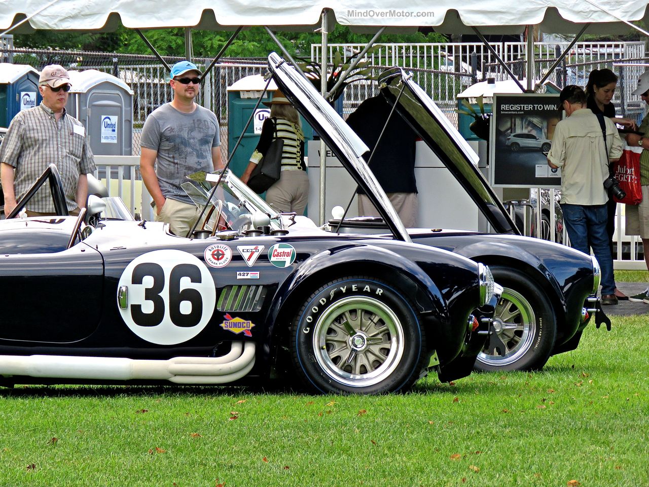 Greenwich Concours 16 Shelby Cobras