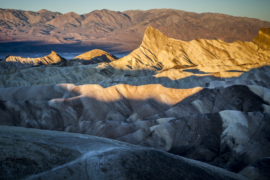 The Most Dry, Most Low And The Hottest Place, Death Valley, Is Full Of Life