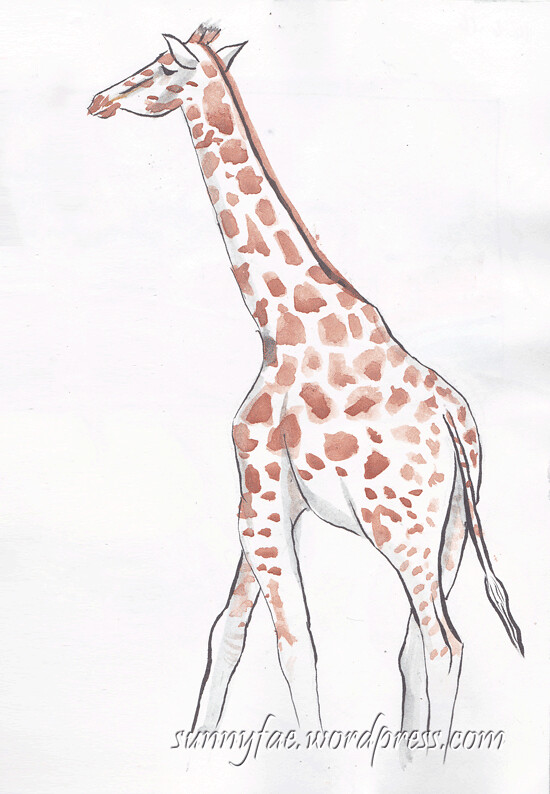 Cute giraffe sketch Stock Vector by ©depositphotos01 97188244-anthinhphatland.vn