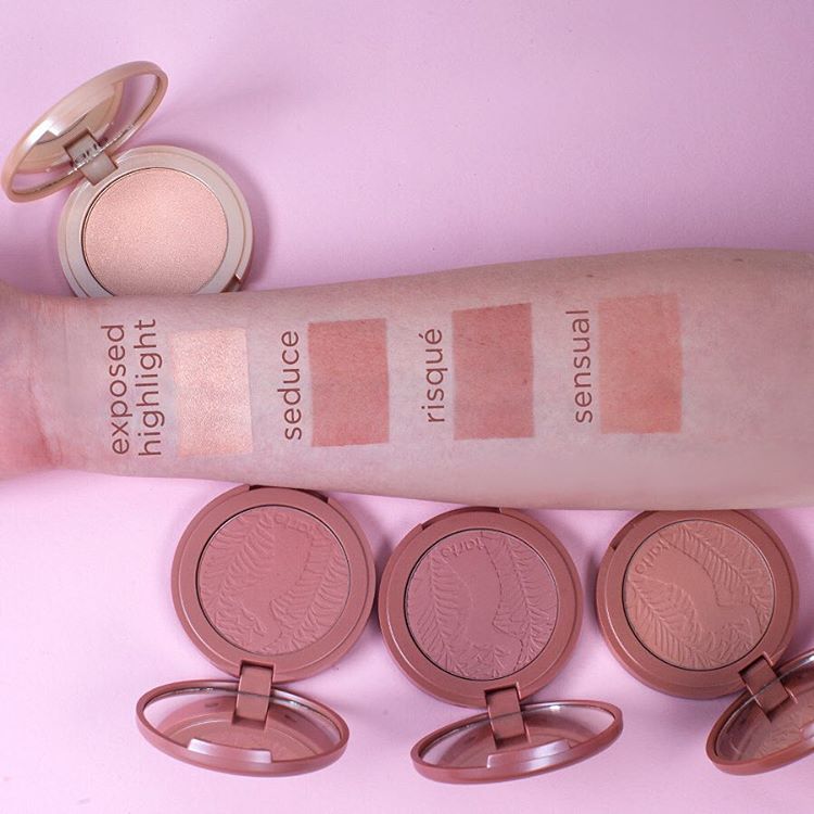 Tarte Naughty Nude Blush and Highlight Swatches