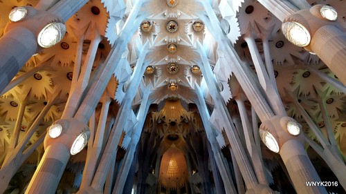 Gaudi Ceiling