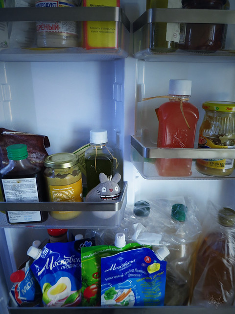 Day #171: totoro explores life in the fridge