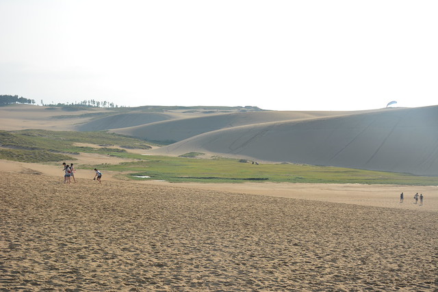 砂丘のオアシス