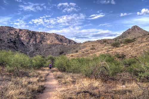 1308 Alison in the Mesquites on the Soldier Trail along Soldier Canyon