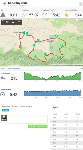 Lauf an der Wutach (10K race/10 km Lauf), 18th June 2016, Reiselfingen
