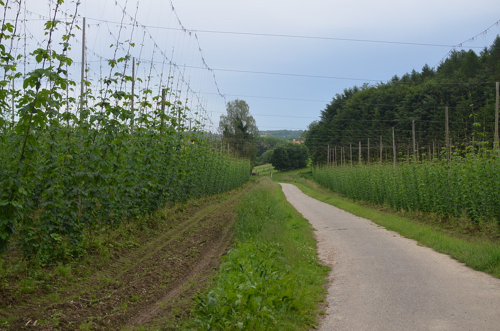 Hopfenland Hallertau