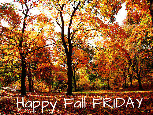 Image result for fall friday images