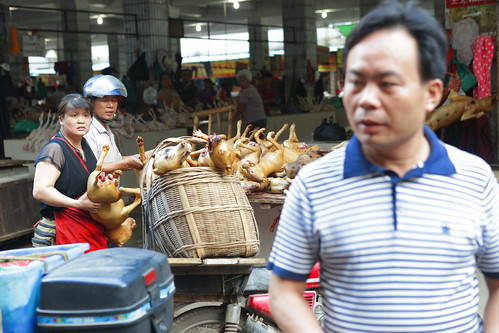A dog meat seller at Yulin