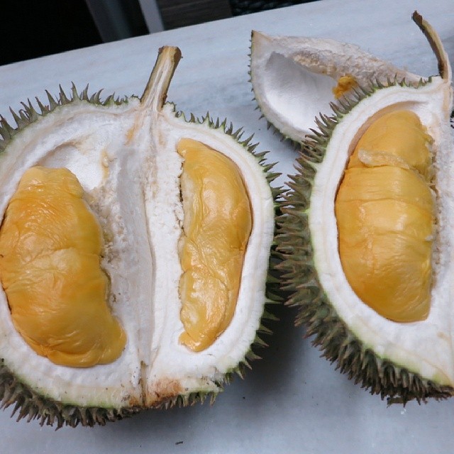 Durian D24 Good Ment Flickr Mentega Taste Gambar Saru