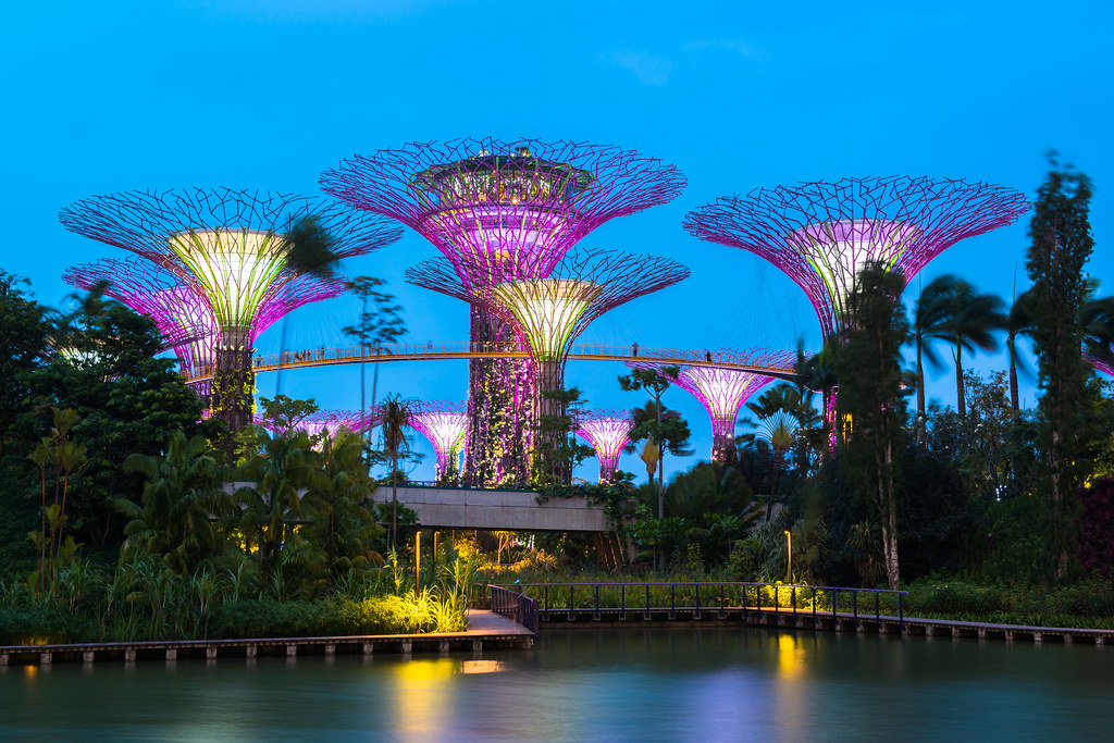 travel to singapore in july