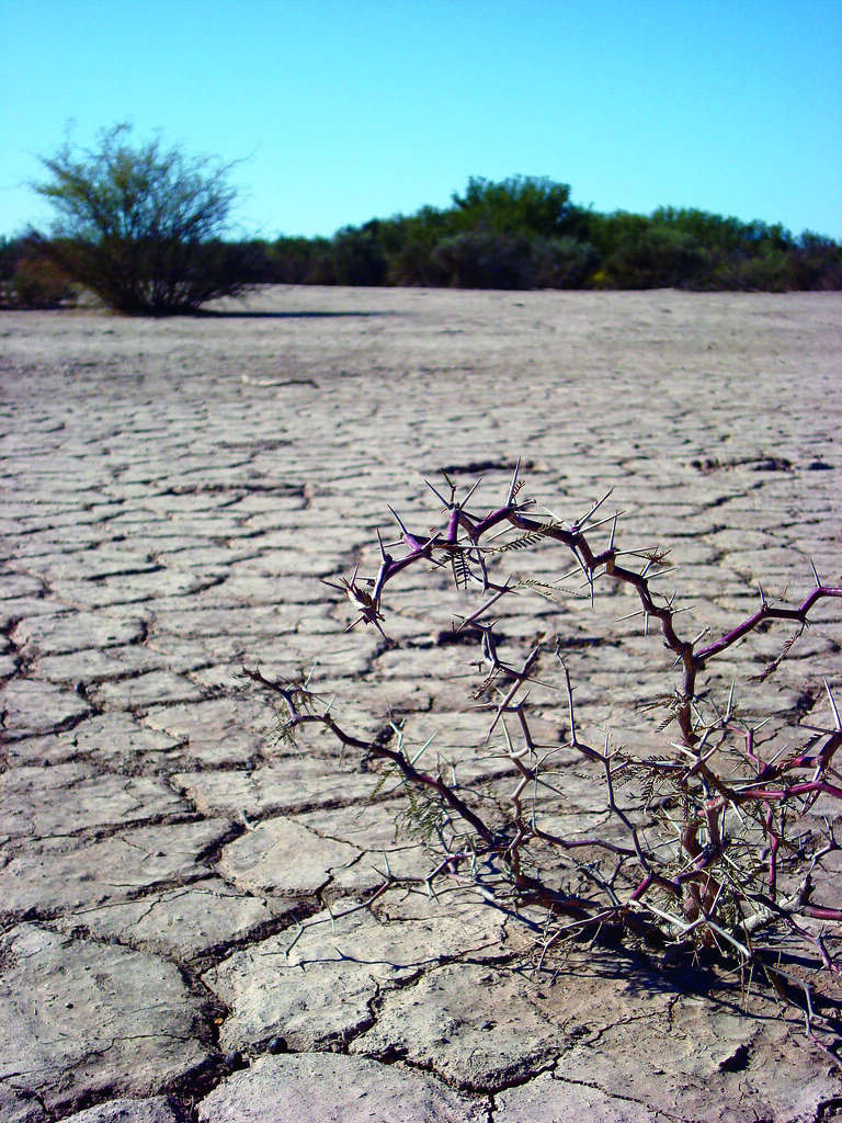 UNCCD Desertificación