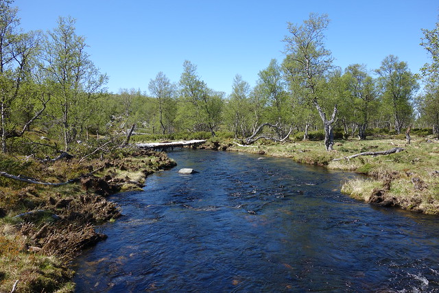 River Grötån and a bridge along the trail