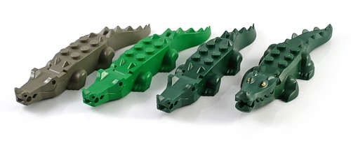crocodile06