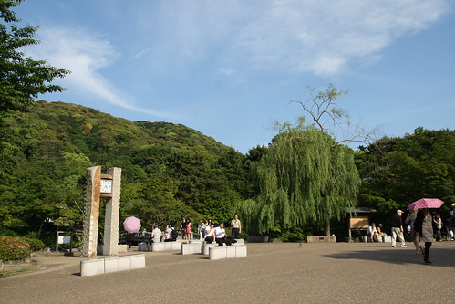 Maruyama Park, Kyoto 2016