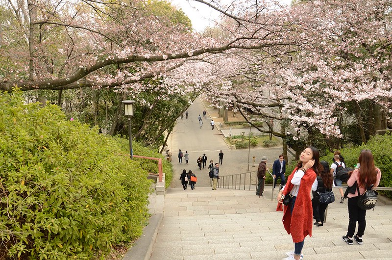 Steps in Osaka Castle Park