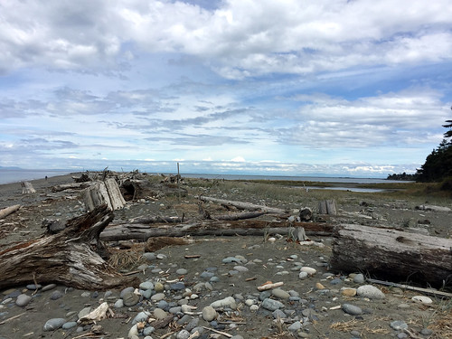 Dungeness Spit-11