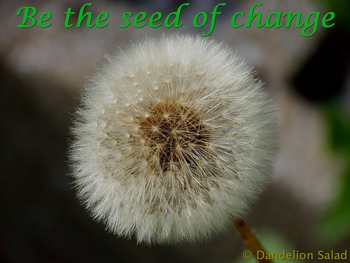 Be the Seed of Change!