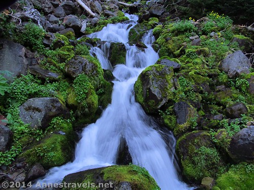 Waterfalls en route to Spray Park in Mt. Rainier National Park, Washington