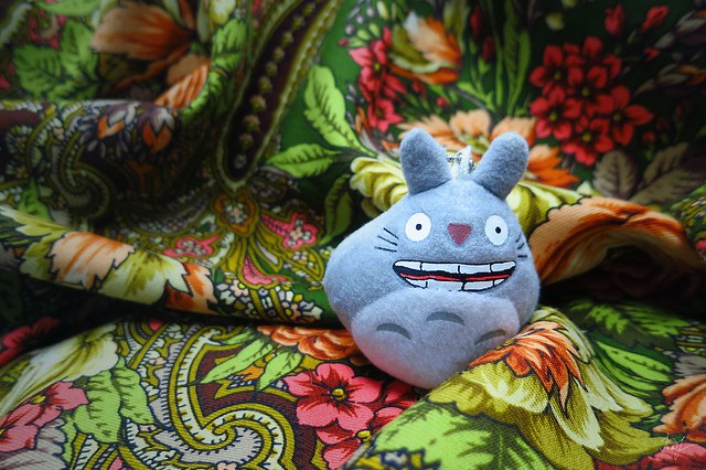 Day #140: totoro needs a little warmth in this cold evening
